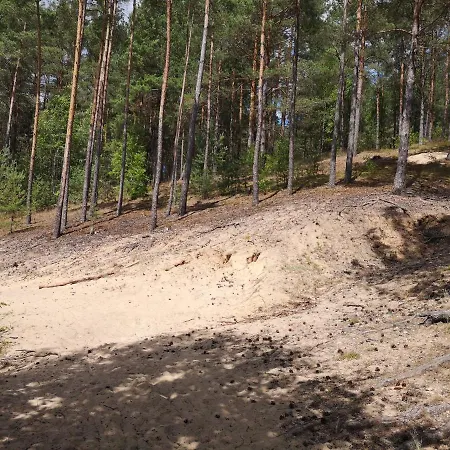 Miedzy Drzewami Bartoszylas