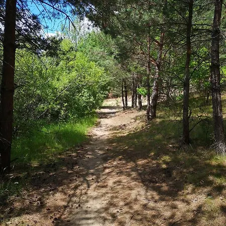 Miedzy Drzewami Bartoszylas