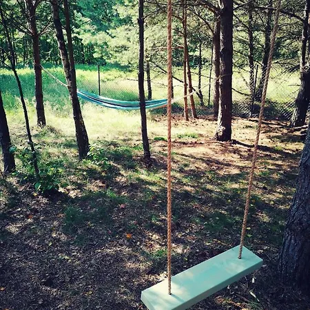 Miedzy Drzewami Bartoszylas