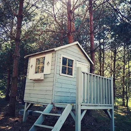 Miedzy Drzewami 山林小屋