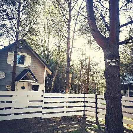 Miedzy Drzewami 山林小屋