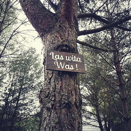 Miedzy Drzewami Lodge