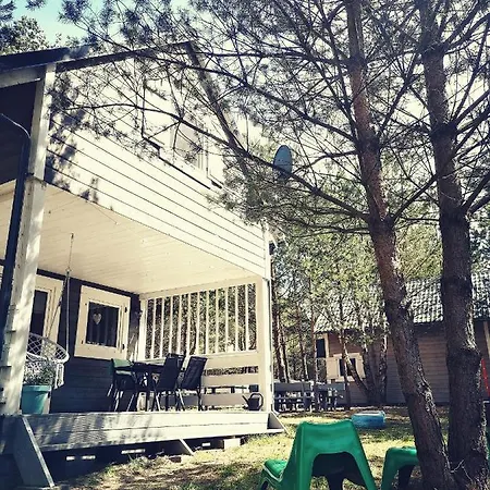 Miedzy Drzewami 山林小屋 *