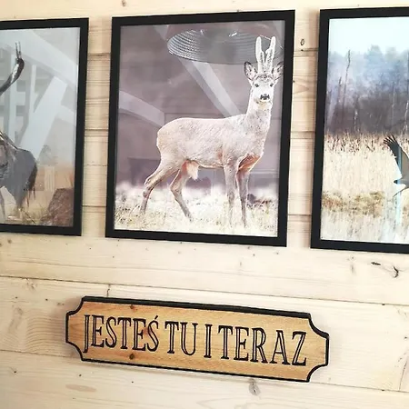 Alojamento de Turismo Selvagem Miedzy Drzewami