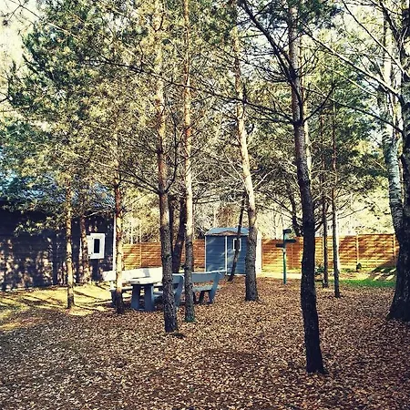 Alojamento de Turismo Selvagem Miedzy Drzewami Bartoszylas