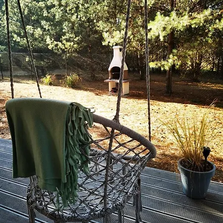 Miedzy Drzewami * Bartoszylas