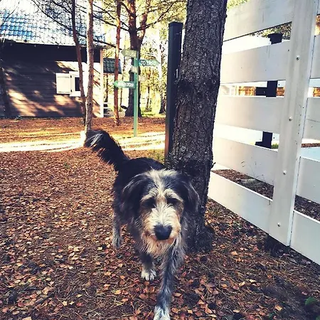 Miedzy Drzewami Bartoszylas