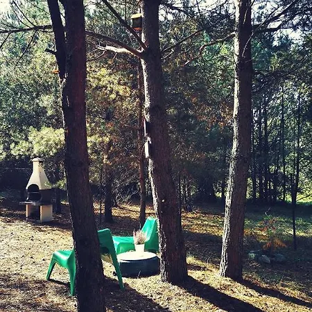 Miedzy Drzewami Bartoszylas