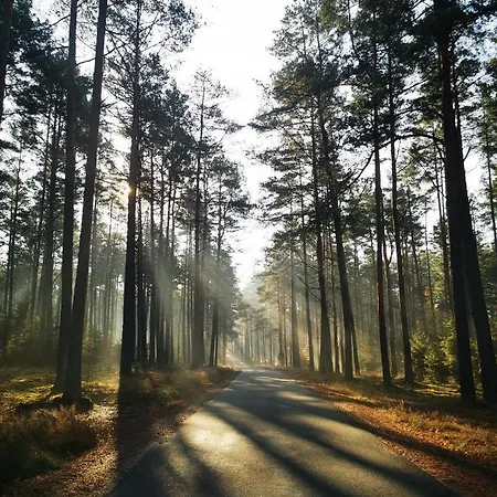 Miedzy Drzewami Alojamento de Turismo Selvagem *