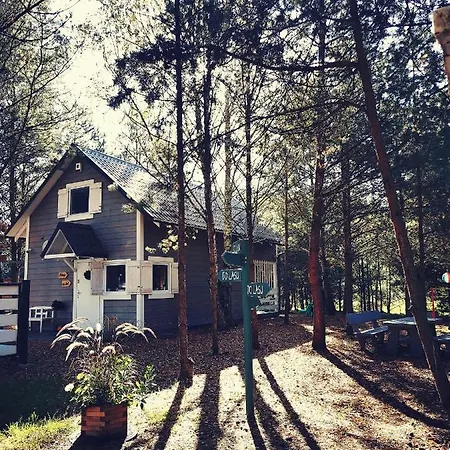 Miedzy Drzewami Alojamento de Turismo Selvagem *