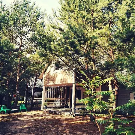 山林小屋 Miedzy Drzewami