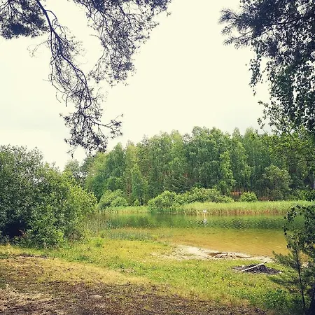 Lodge Miedzy Drzewami