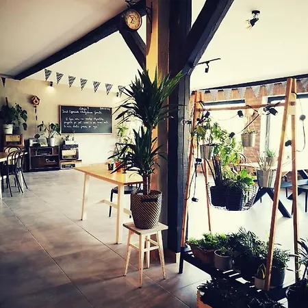 Miedzy Drzewami 山林小屋