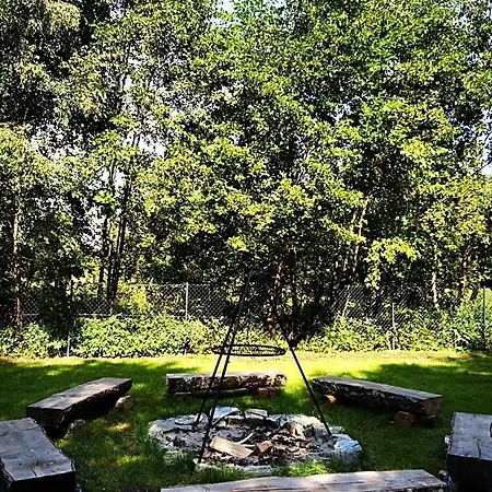 Miedzy Drzewami 山林小屋