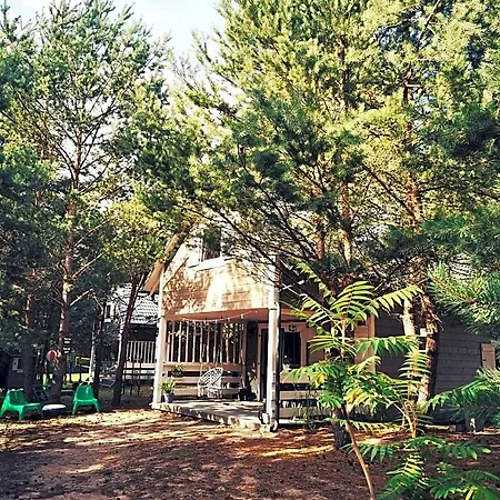 Miedzy Drzewami 山林小屋 *