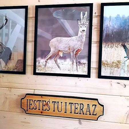 山林小屋 Miedzy Drzewami Bartoszylas