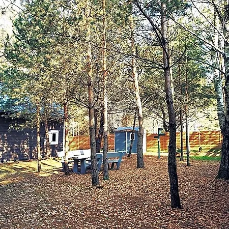 Miedzy Drzewami Bartoszylas