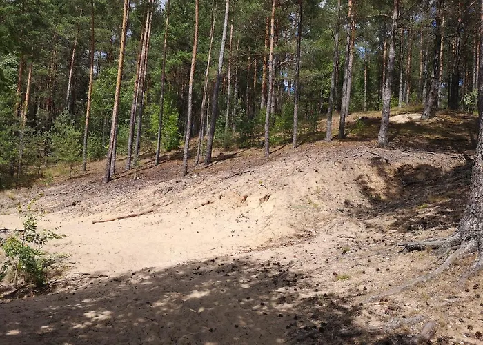 Miedzy Drzewami Bartoszylas