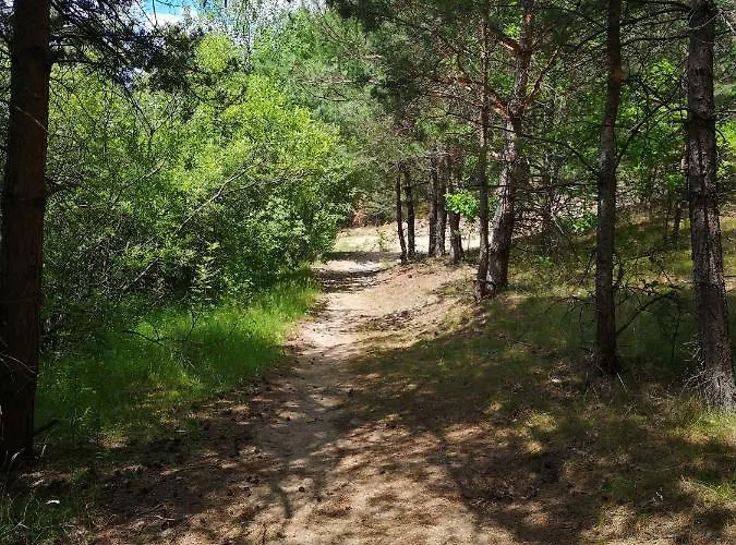 Miedzy Drzewami Bartoszylas