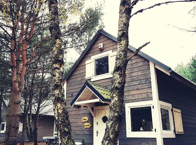 Miedzy Drzewami بيت خشبي Bartoszylas