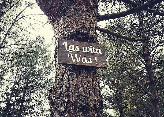 Miedzy Drzewami بيت خشبي