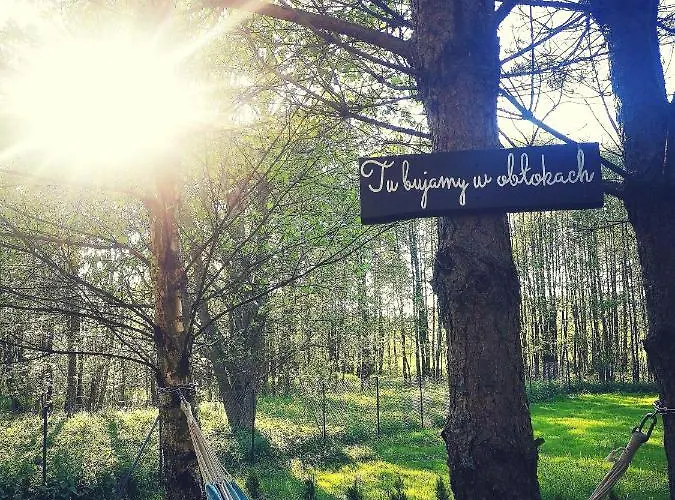 Miedzy Drzewami بيت خشبي Bartoszylas