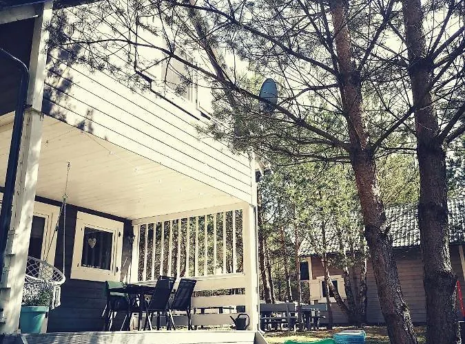 Miedzy Drzewami بيت خشبي *