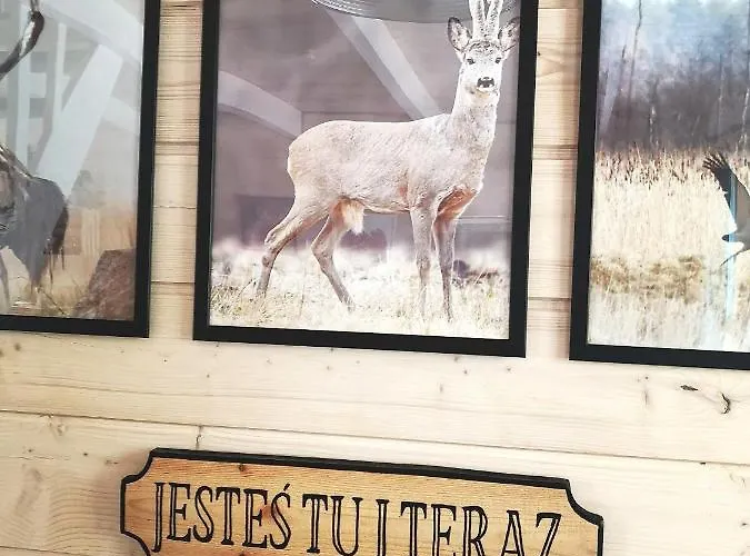 بيت خشبي Miedzy Drzewami