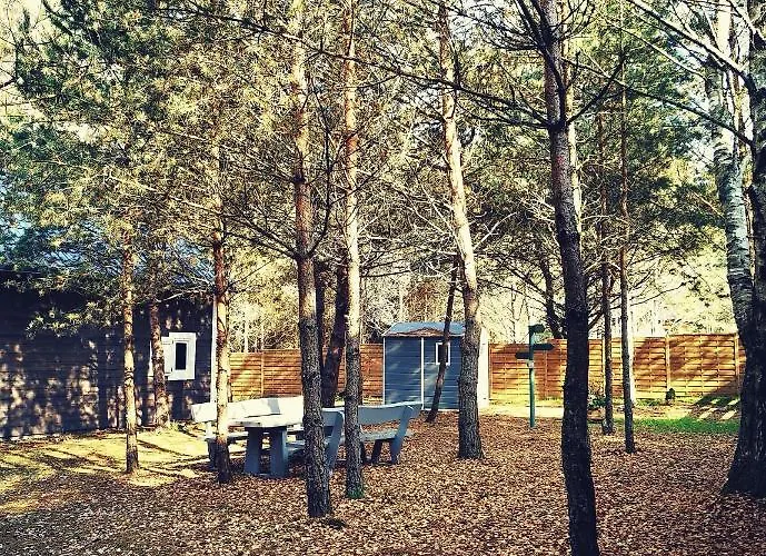 بيت خشبي Miedzy Drzewami Bartoszylas