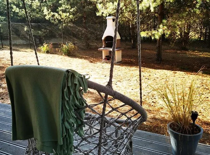 Miedzy Drzewami * Bartoszylas