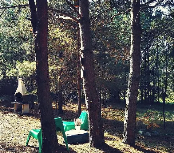 Miedzy Drzewami Bartoszylas