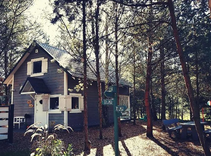 Miedzy Drzewami بيت خشبي *