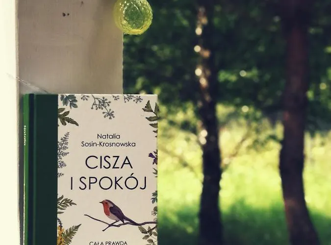 Miedzy Drzewami بيت خشبي