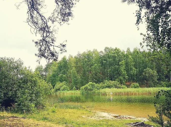 بيت خشبي Miedzy Drzewami