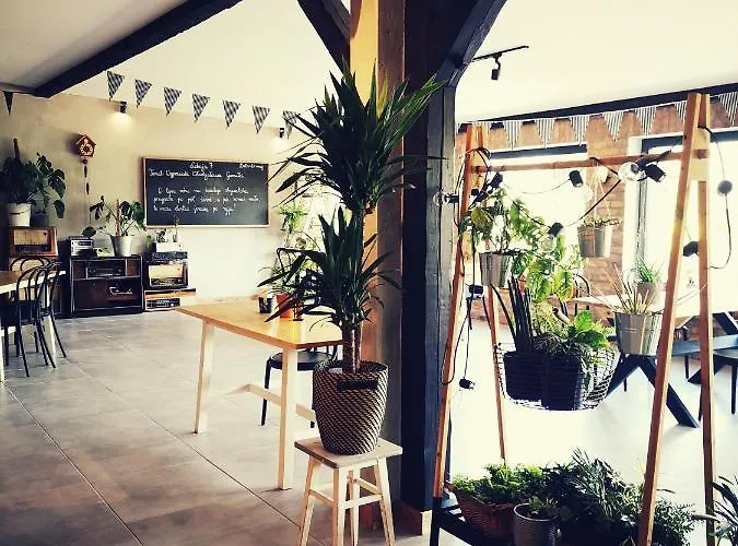 Miedzy Drzewami بيت خشبي